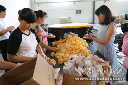 宜昌市年度农产品加工企业三十强和"双十"农产品出炉